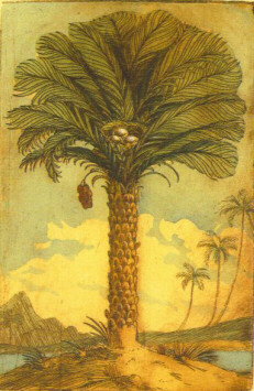 FAP - Palm Tree w/Nest