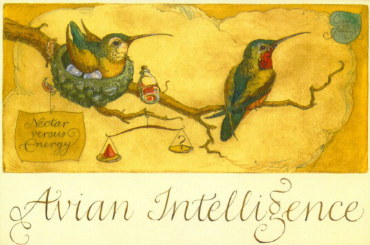 DAT - Avian Intelligence