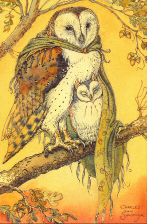 AFOO - Owls in Oak
