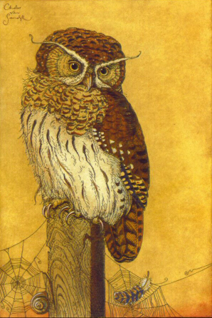 AFSO - Spirit Owl