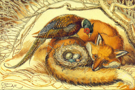 AFFP - Fox & Pheasant